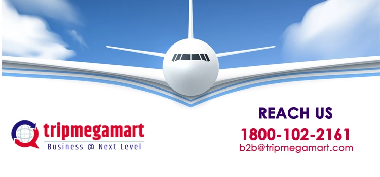 How Can Travel Agencies In Usa Benefit From A White Label Travel Portal Provider Company.webp