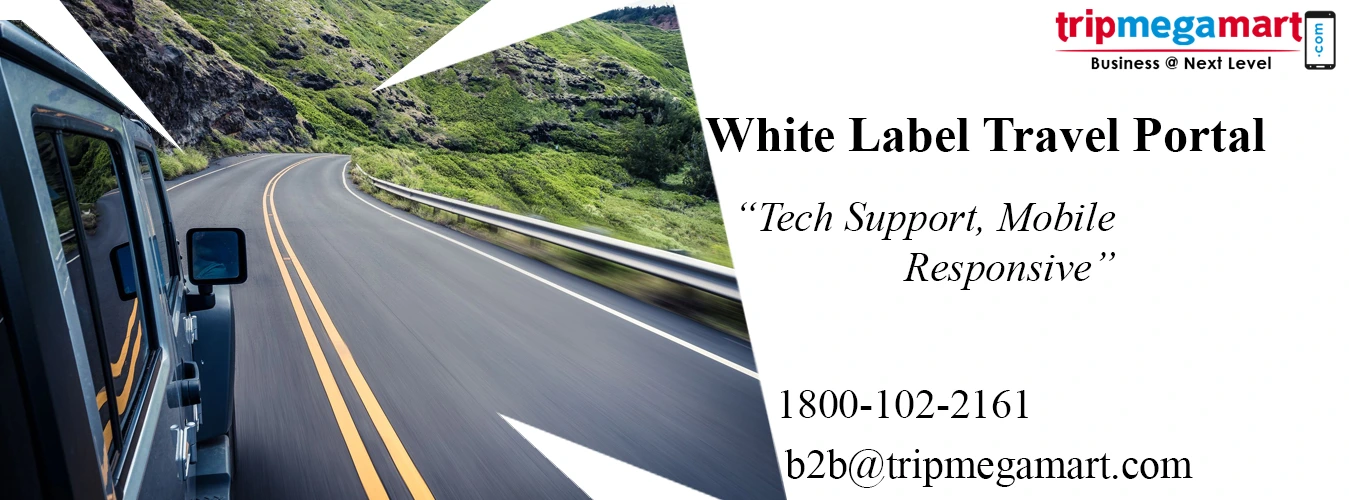 How To Start A Tour Company With Less Money.webp