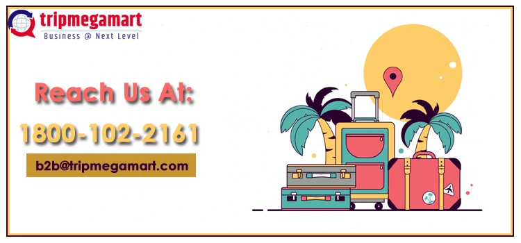 Start Online Travel Agency Business In The Usa.webp