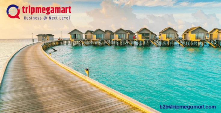 Travel Portal Development In Austin.webp