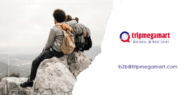 Travel Portal Development In Jacksonville.webp