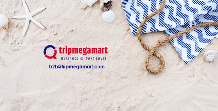 Travel Portal Solution In Dallas.webp